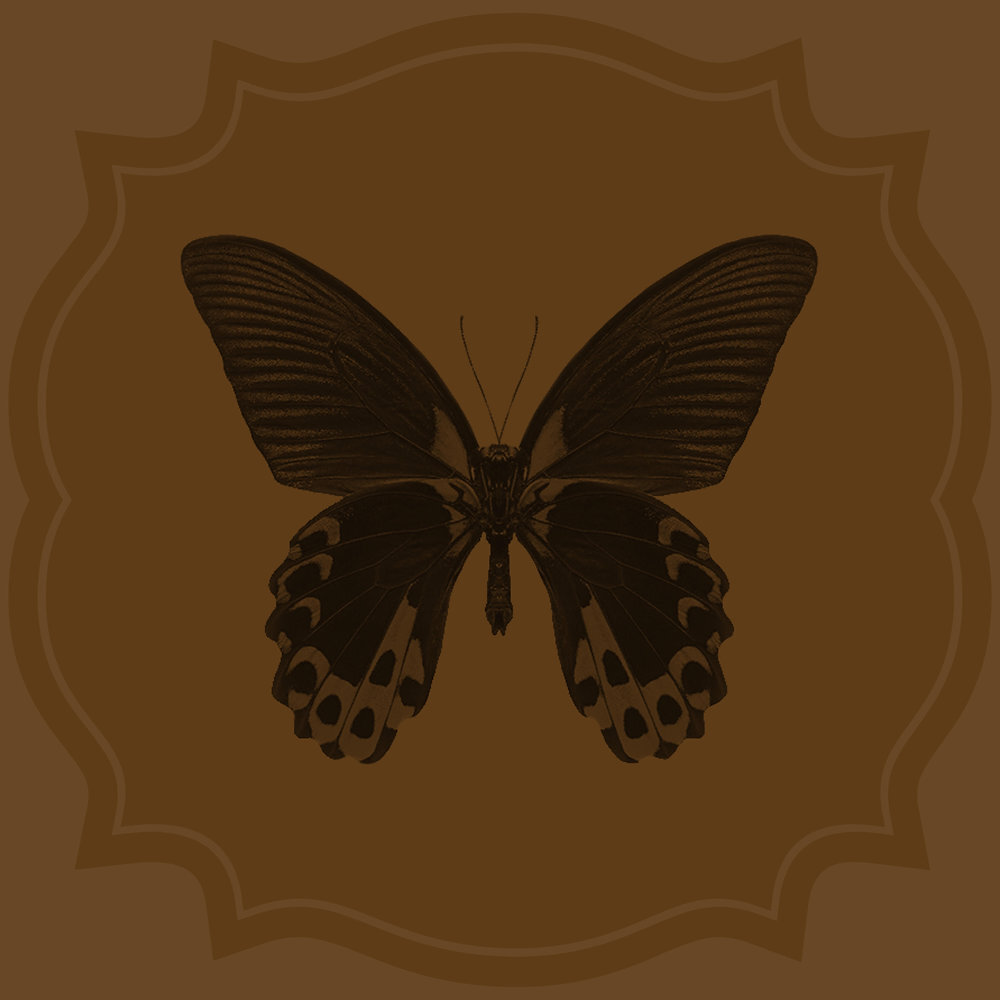 How Do Authors Use Pacing to Build Tension in A Story? How Do Authors Use Pacing to Build Tension in A Story?