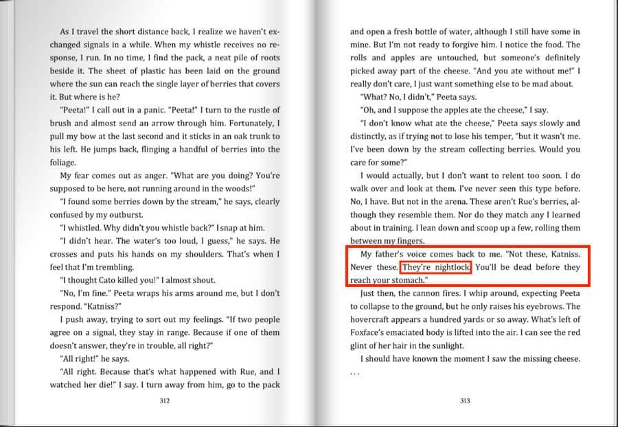 PPT - Plot Plot Structure Suspense Foreshadowing Setting Your Turn ...